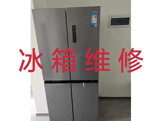 上海专业电冰箱安装